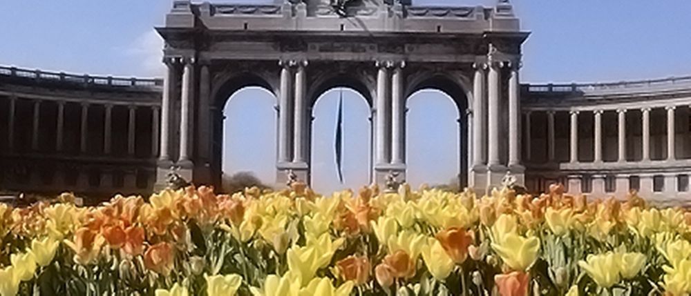 Hotel Brussels Groot-Bijgaarden Kültér fotó